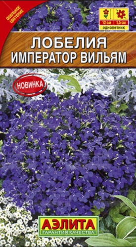 Аэлита лобелия Император вильям