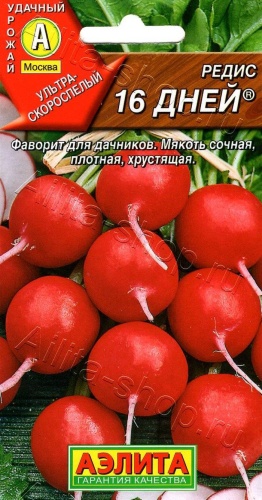Аэлита Редис 16 дней