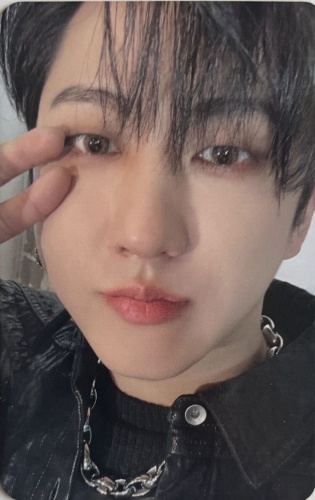 Коллекционные карточки JYP ENTERTAINMENT Stray Kids 1 шт