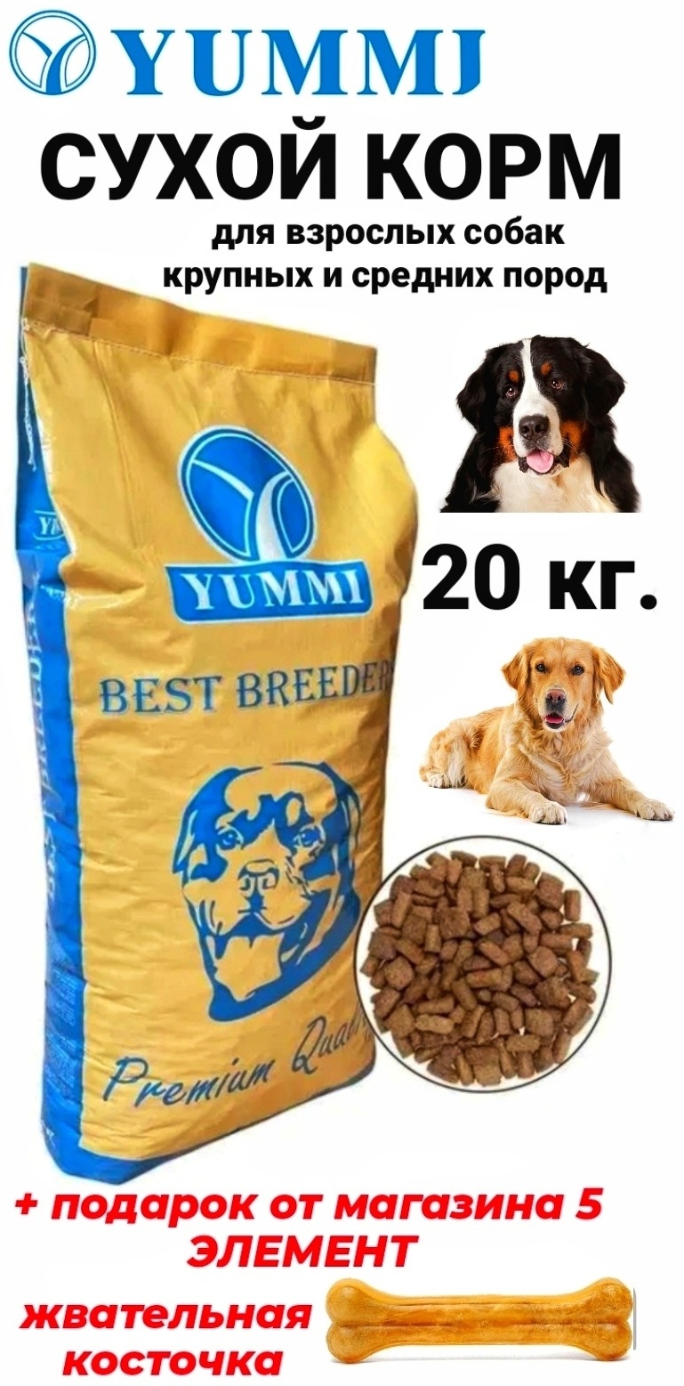 Купить Корм YUMMI Premium Quality Говядина для взрослых средних и ...