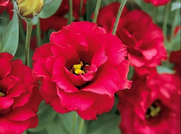 Фото 2