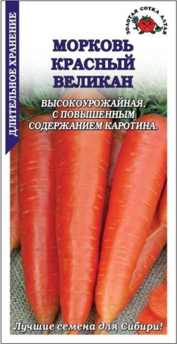 Золотая сотка Алтая морковь Красный великан