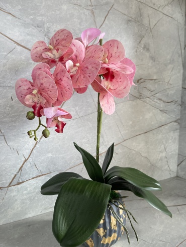 Фото 4