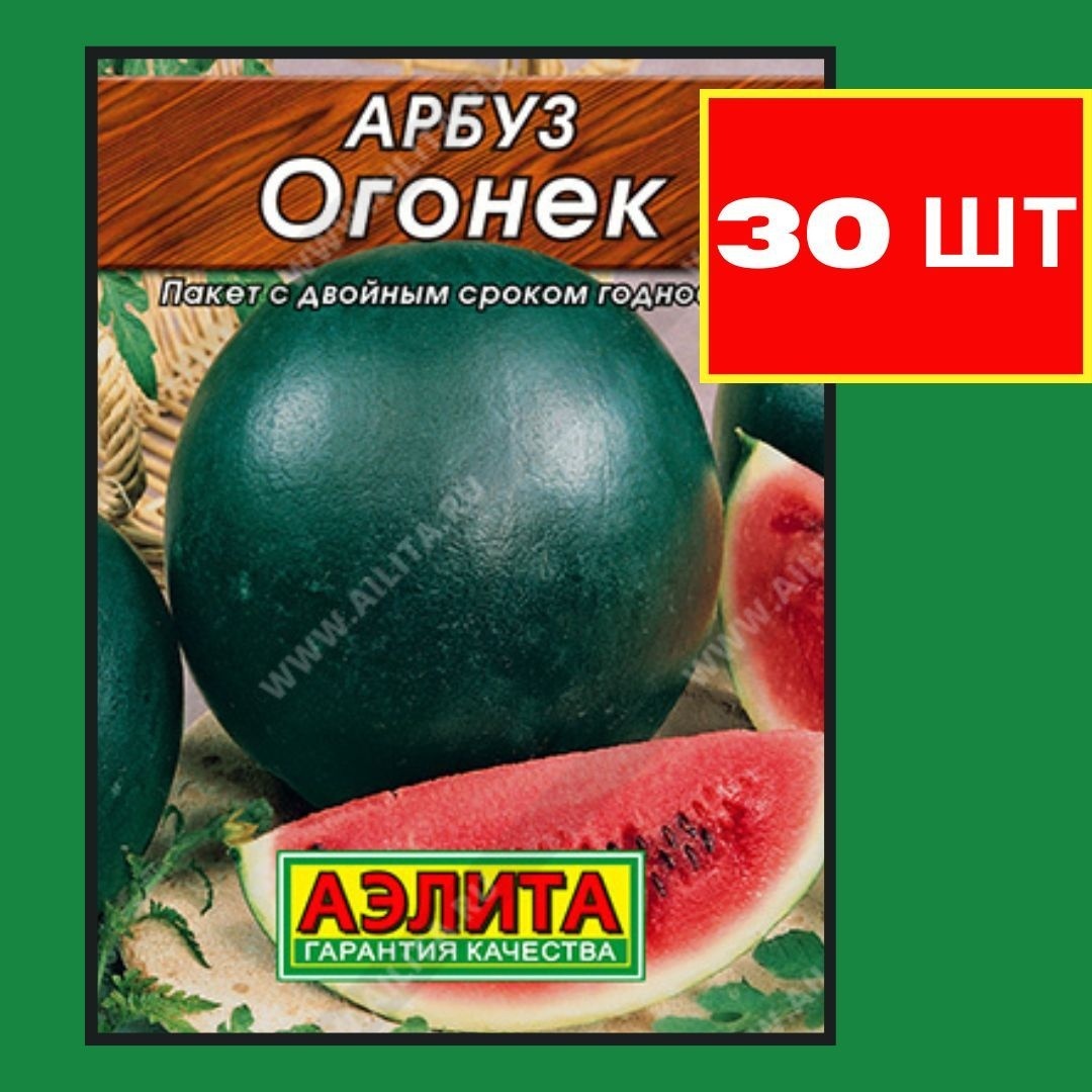 Аэлита арбуз Огонек