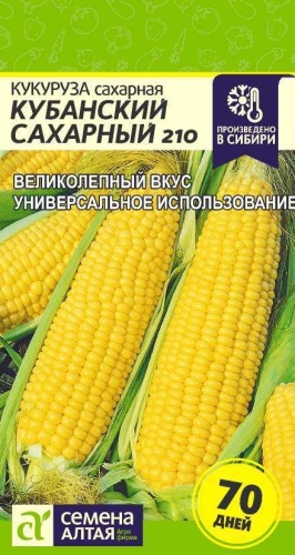 Семена Алтая кукуруза Кубанский сахарный