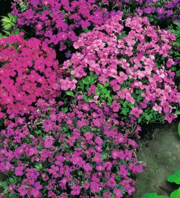 Фото 3