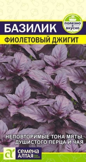 Семена Алтая базилик Фиолетовый джигит
