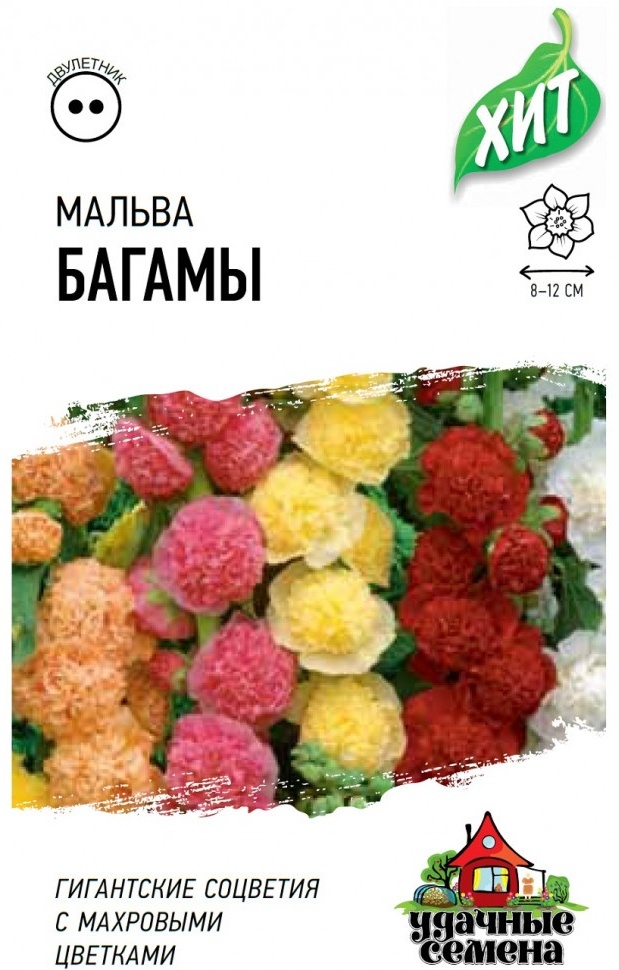 Удачные семена мальва Багамы