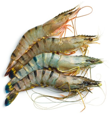 Fishdream креветки 1000 г