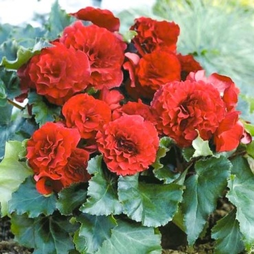 Фото 2