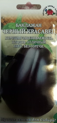 Золотая сотка Алтая баклажан Черный красавец