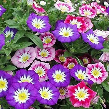 Фото 2