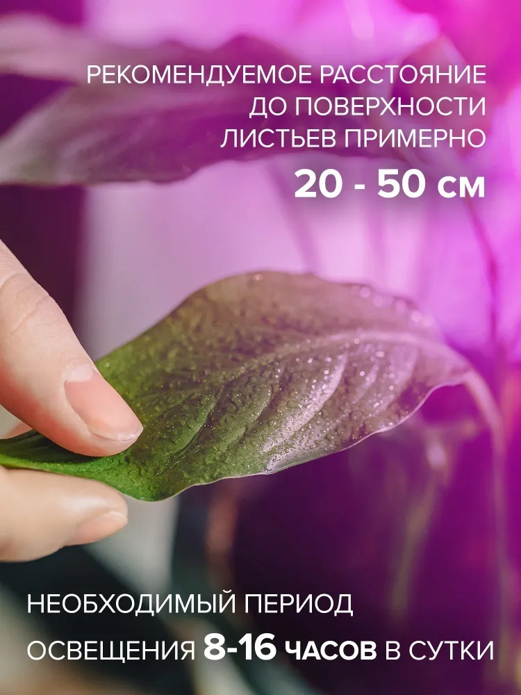 Фото 3
