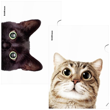 Папка-уголок Erich Krause Hiding Cats, А4, мультиколор