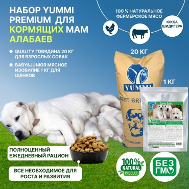 YUMMI Premium Quality Говядина для взрослых алабаев 20 кг + YUMMI Premium Quality Baby & Junior Мясное изобилие для щенков алабаев 1 кг
