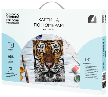 Картина по номерам ТРИ СОВЫ КХ_44087 40 см x 30 см