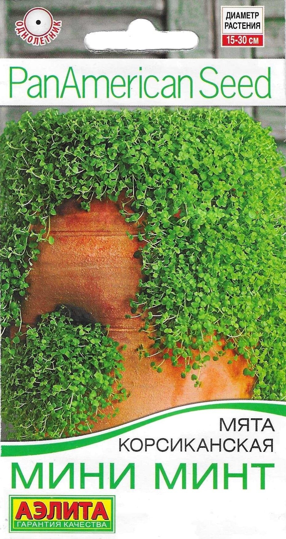 Мята Мини минт