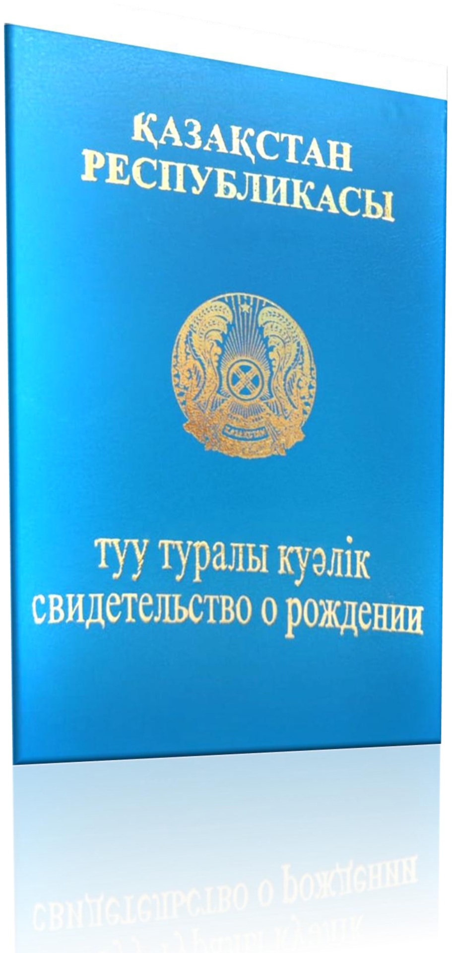 Папки ПВХ обложки для документов прозрачные,студенческий билет корочки,удостоверения на заказ