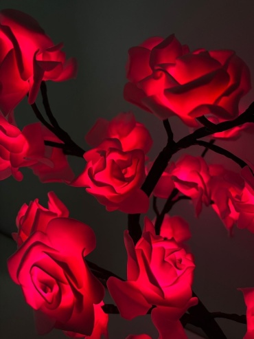 Фото 2