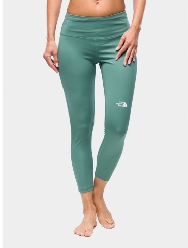 Леггинсы The North Face зеленый