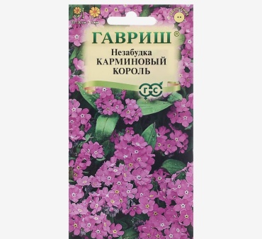 Гавриш незабудка Карминовый король