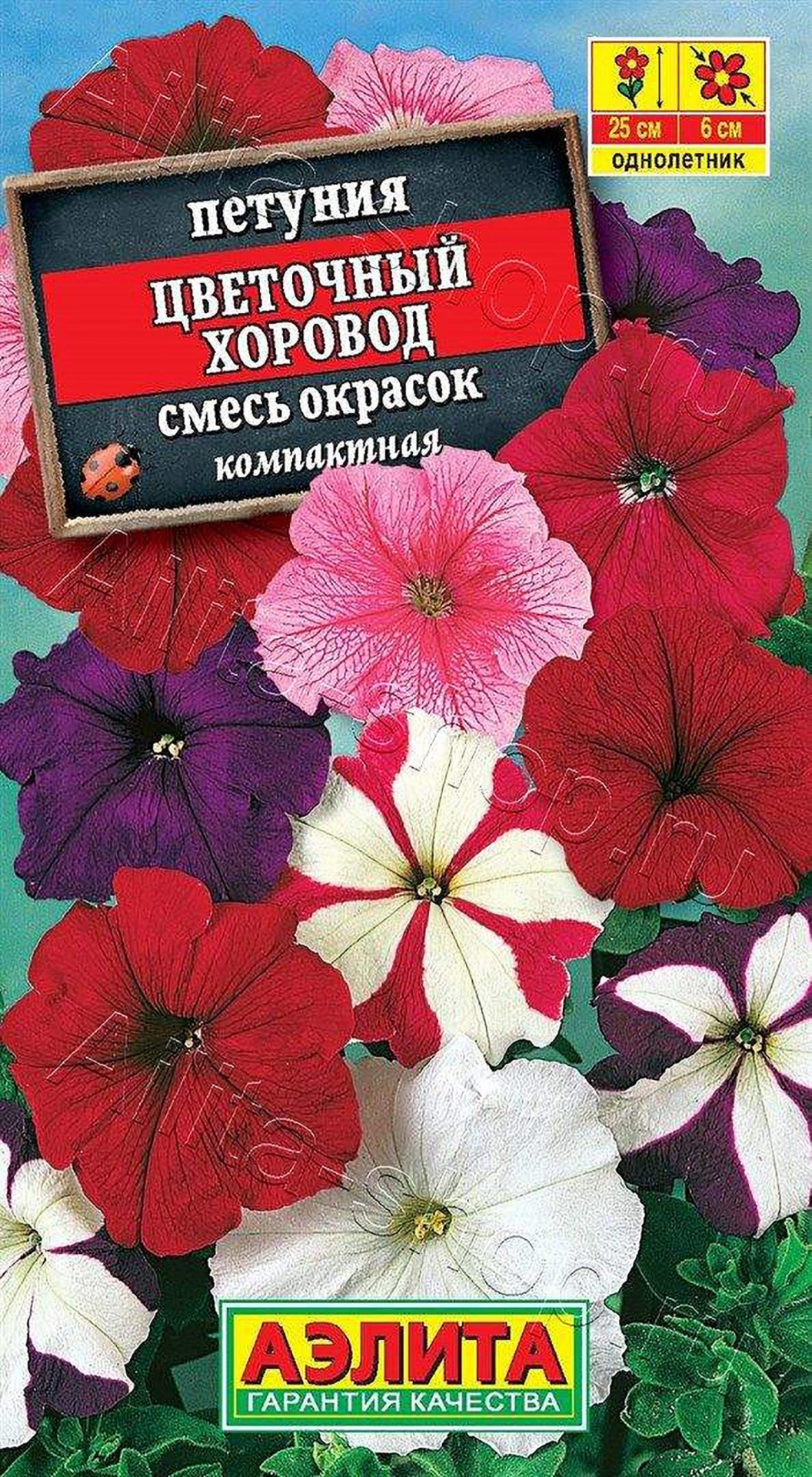 Аэлита петуния Цветочный хоровод