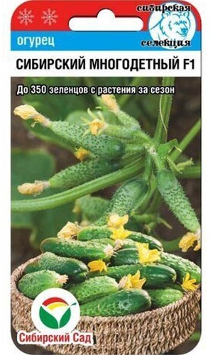 Сибирский сад огурец сибирский многодетный F1