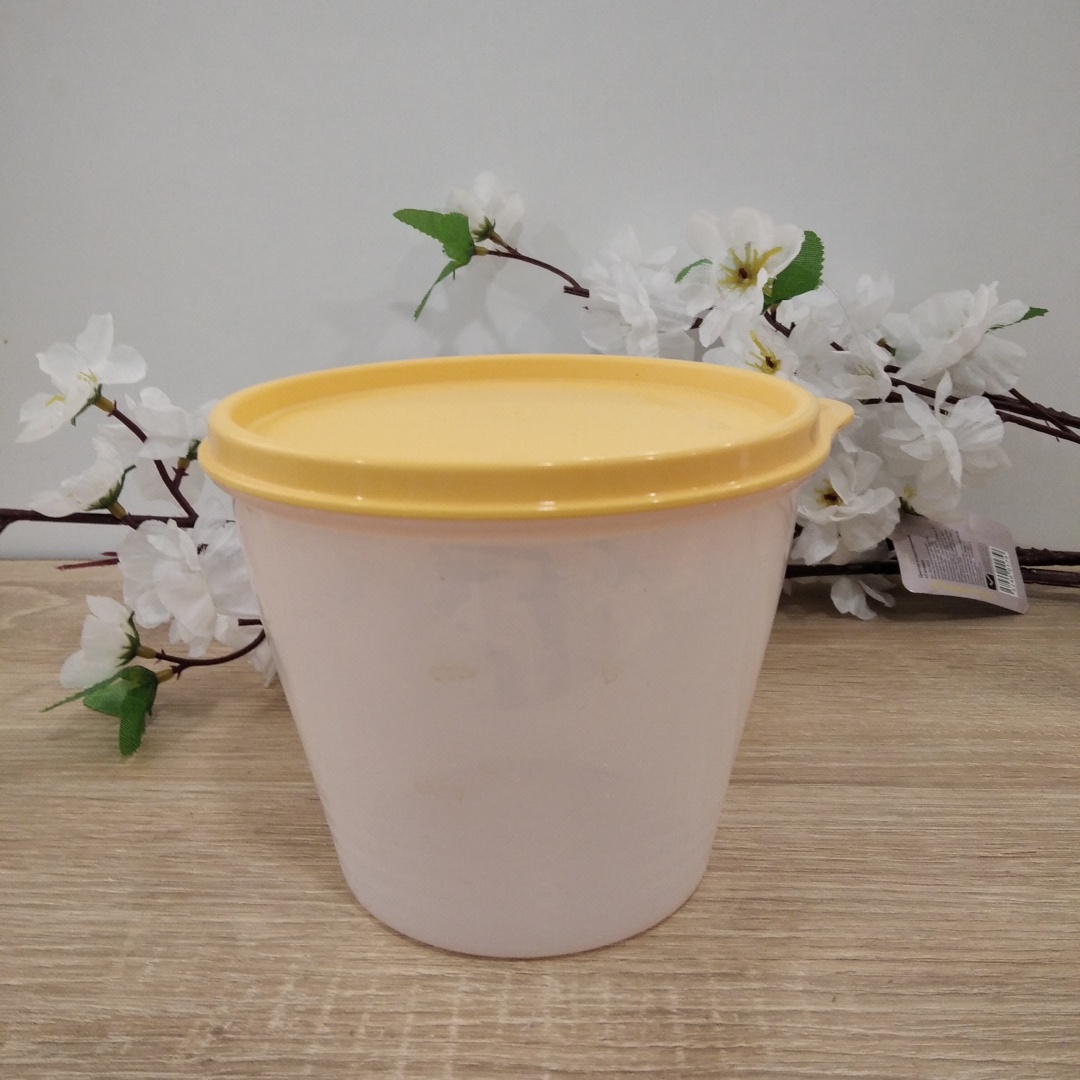 Tupperware контейнер  1091, пластик
