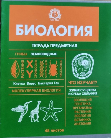 Набор школьных тетрадей Eler Plast 088648038, 48 л, А5, комбинированная, мягкая обложка, 10 шт
