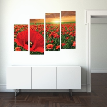 Фото 3