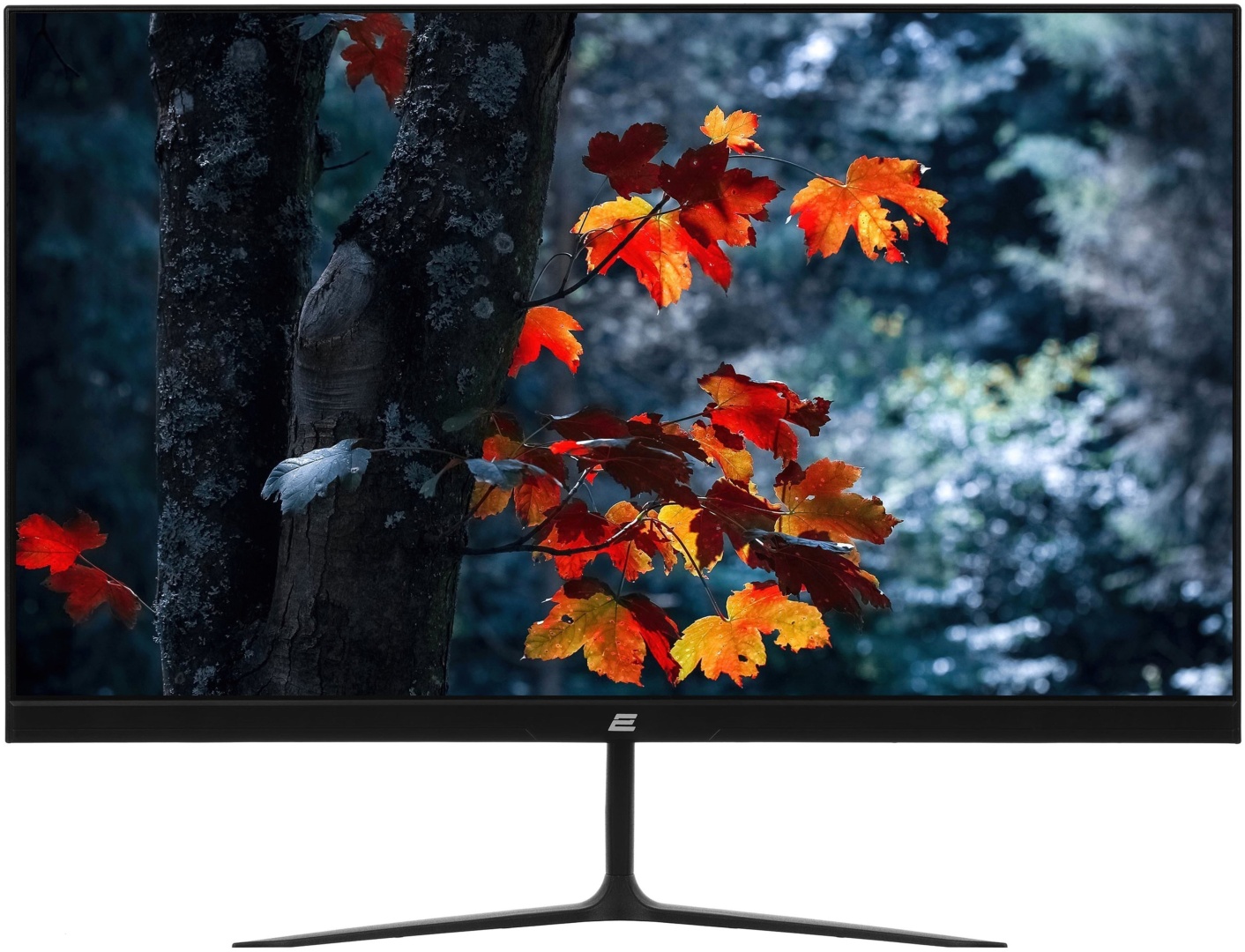 Монитор 23.8" 2E 2E-C2420B-01.UA черный