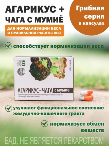 Алфит Плюс Агарикус+Чага с мумиё капсулы 30 шт