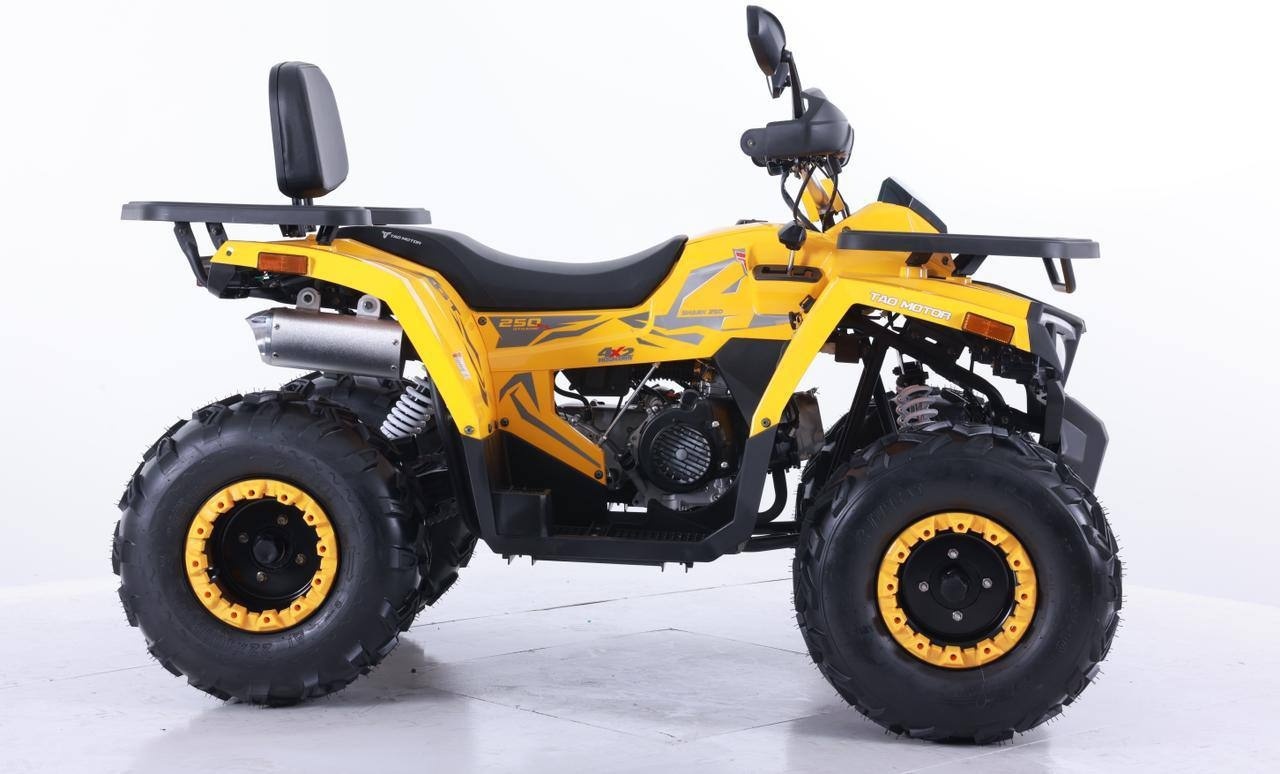 Купить Квадроцикл Tao Motor Shark 250 взрослый 250 мультиколор в Алматы ...