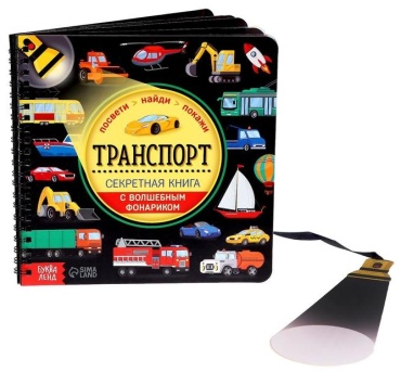 Бажева А.: Транспорт
