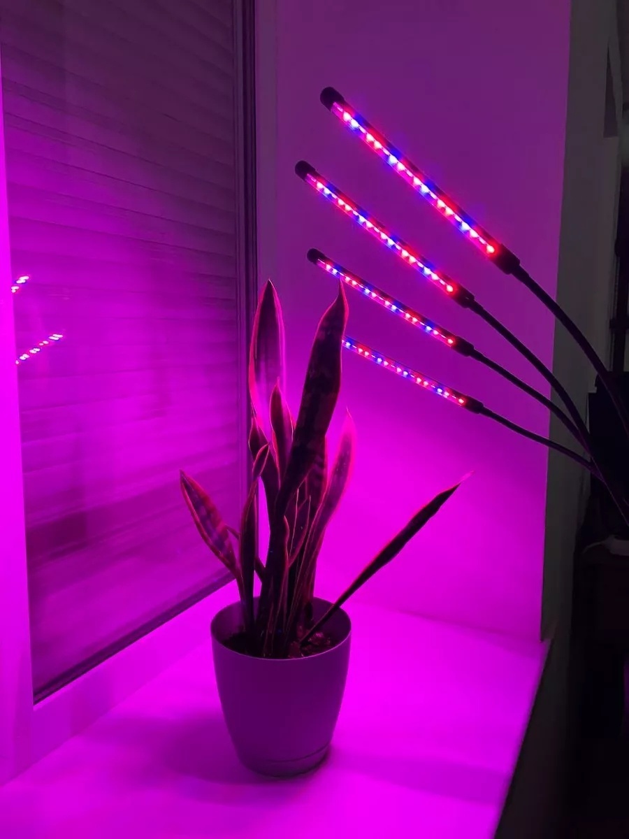 Фото 6