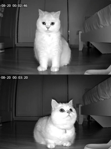 Фото 3