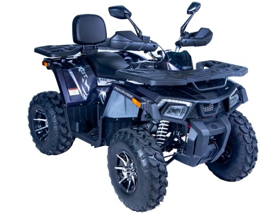 Квадроцикл Tao Motor детский MaxCruiser 200-10 серый