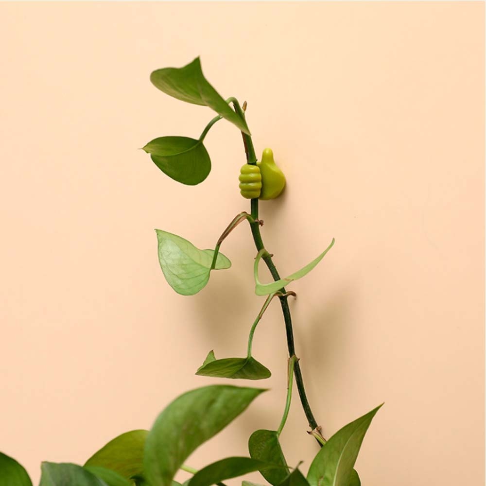 Фото 4