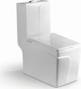 TLS унитаз-моноблок 8090, санфаянс
