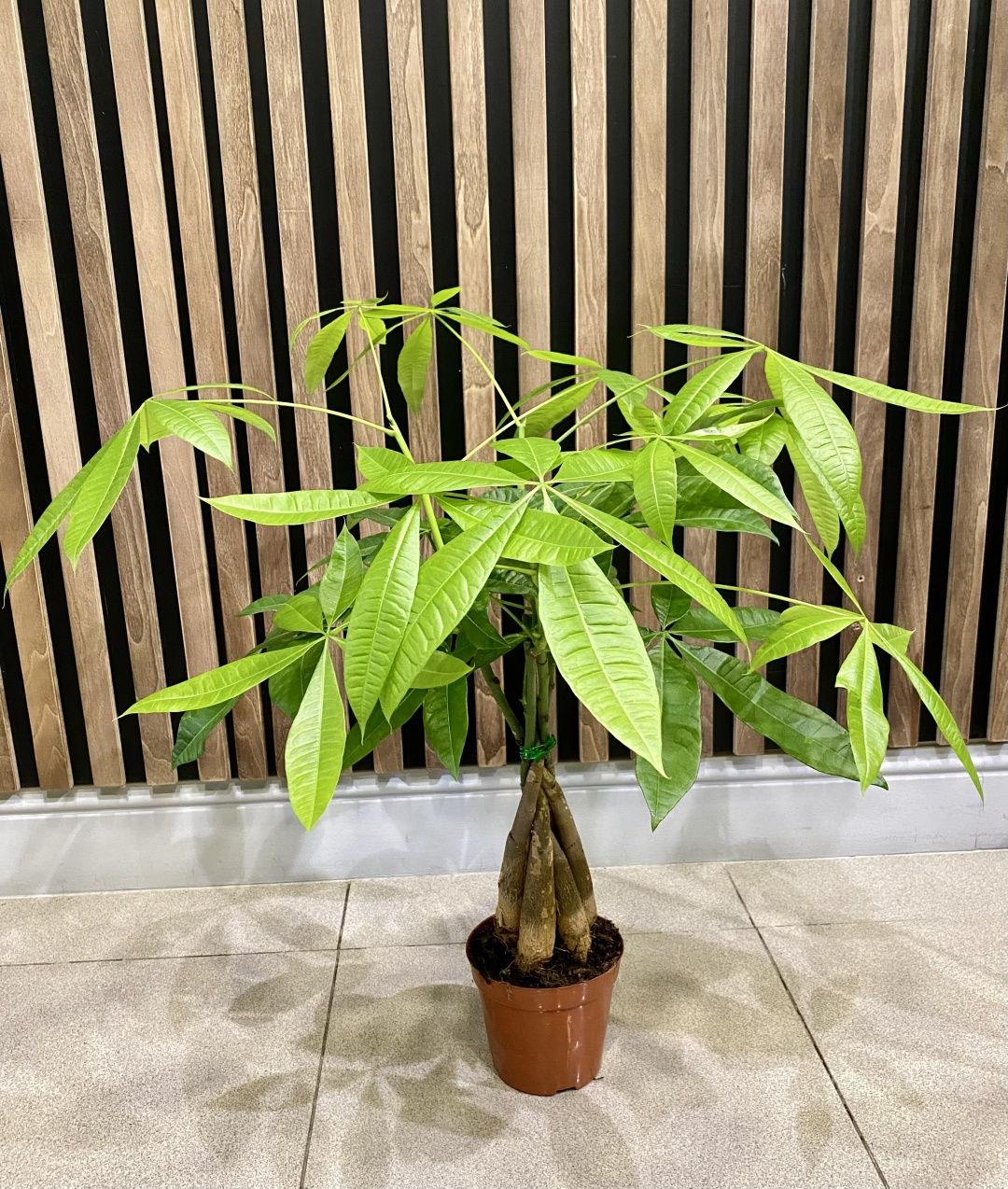 Фото 2