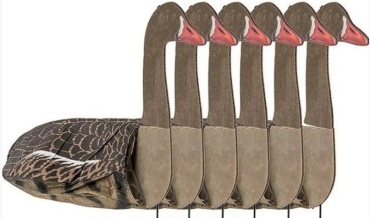 Sillosocks 675 гусь серый