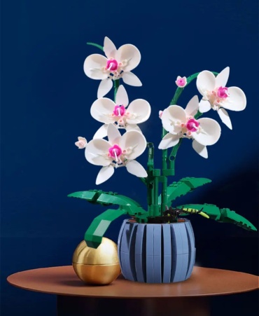 Фото 4