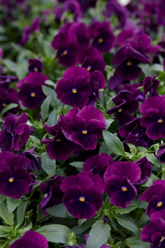 Фото 2