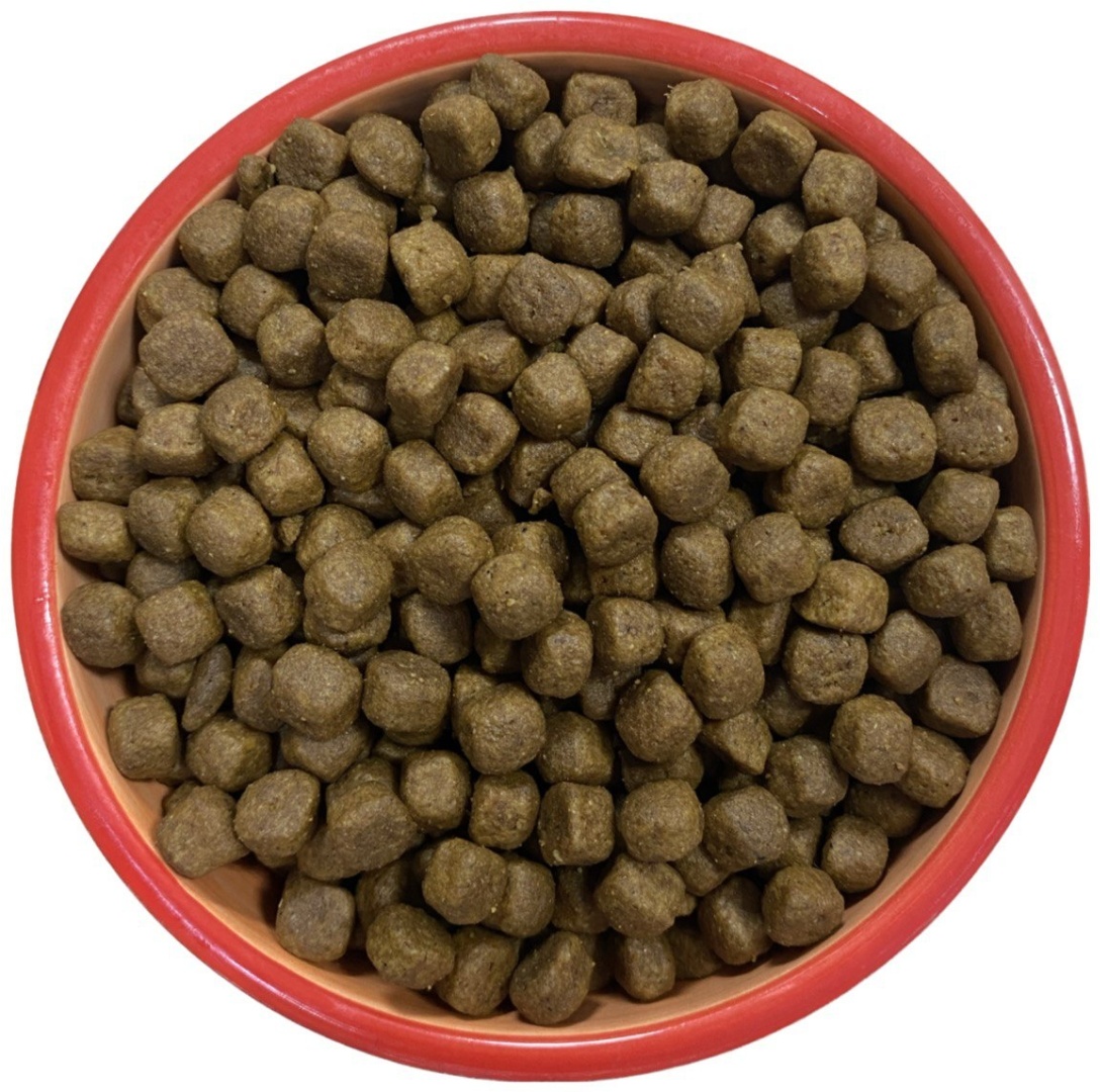 Купить Корм Royal Canin Maine Coon Kitten для котят породы мейн-кун 1.5 ...