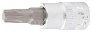 STELS 13804 T20