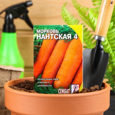 Сембат морковь Нантская 4