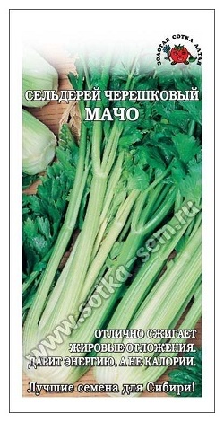 Золотая сотка Алтая сельдерей Мачо