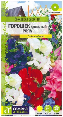 Семена Алтая Цветы Душистый горошек Роял