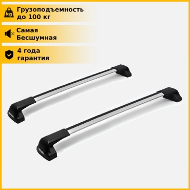 Rollster 205782050020504-10 Kia Rio 2017-2023 серебристый