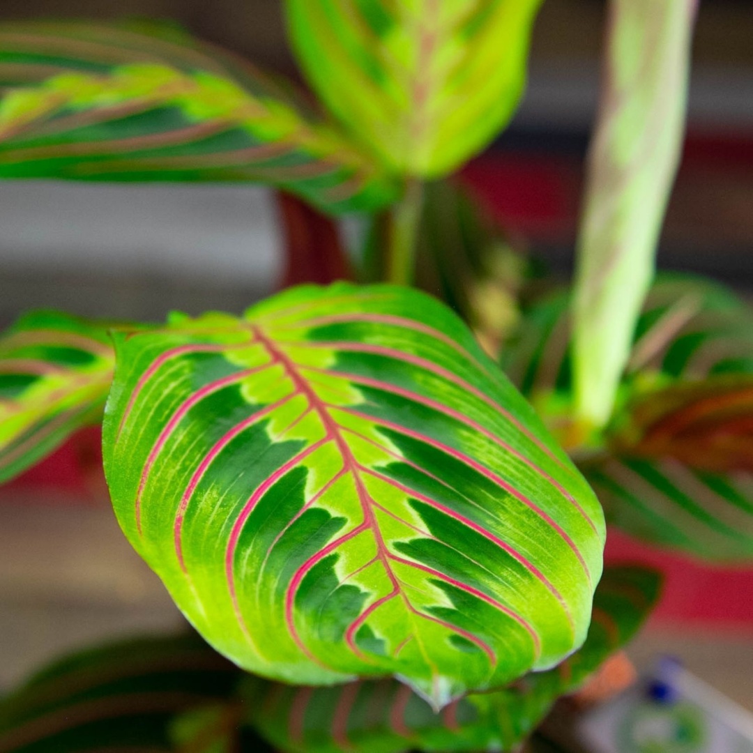 Фото 4